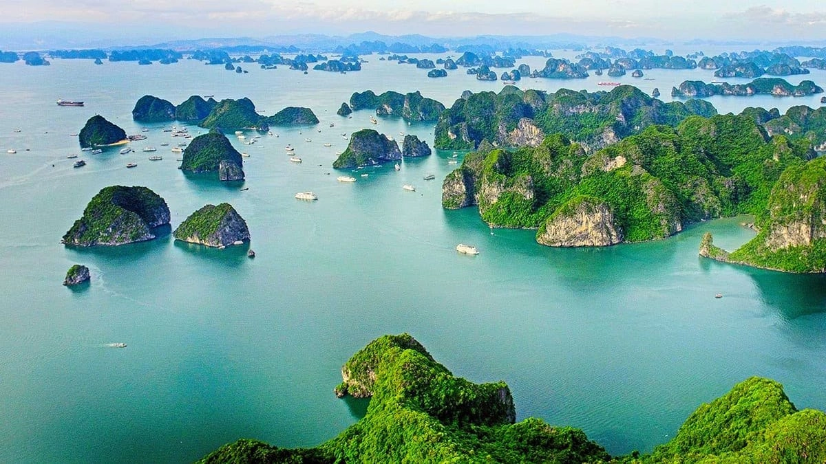 Giao lưu cộng đồng tại Vịnh Hạ Long