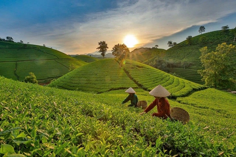 Không gian văn hóa tại Cao nguyên Mộc Châu