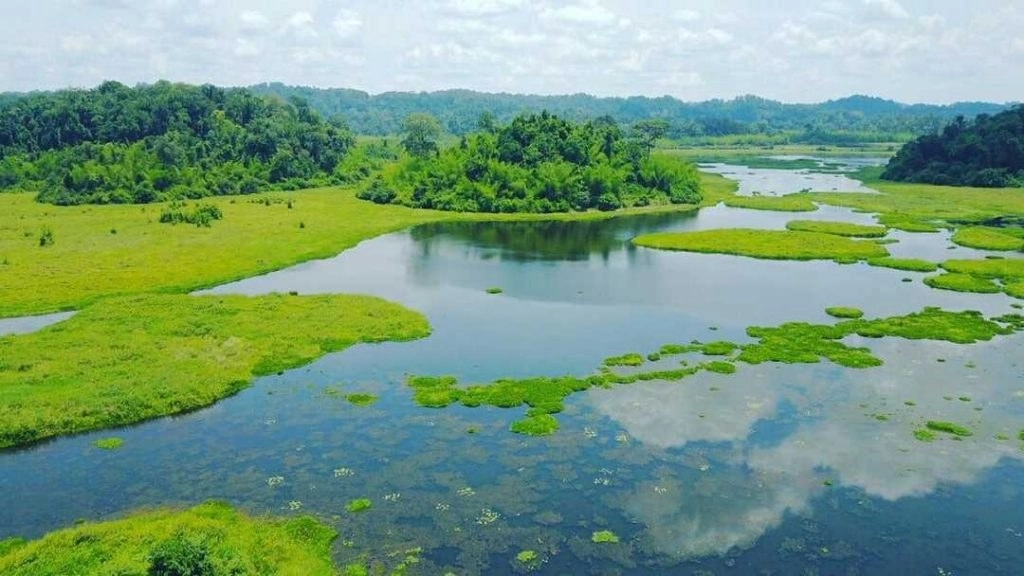 Ngày hội trải nghiệm tại Vườn quốc gia Cát Tiên